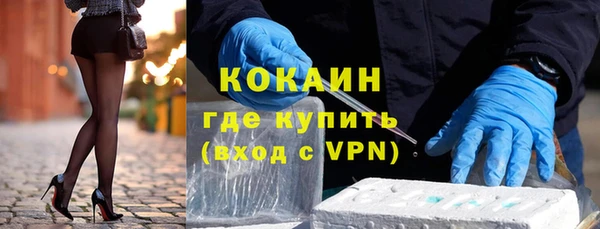 шишки Арсеньев