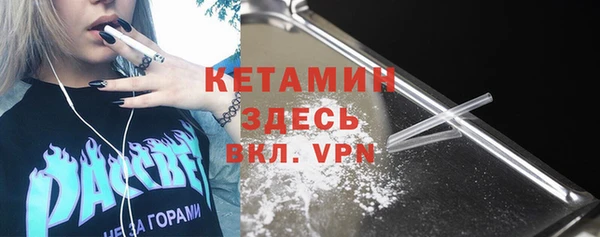 шишки Арсеньев