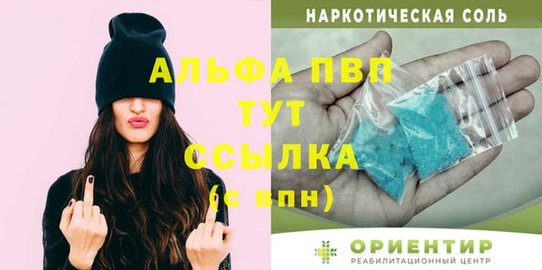 PSILOCYBIN Аркадак