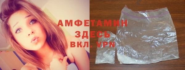 шишки Арсеньев