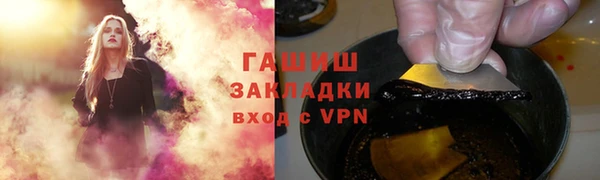 шишки Арсеньев