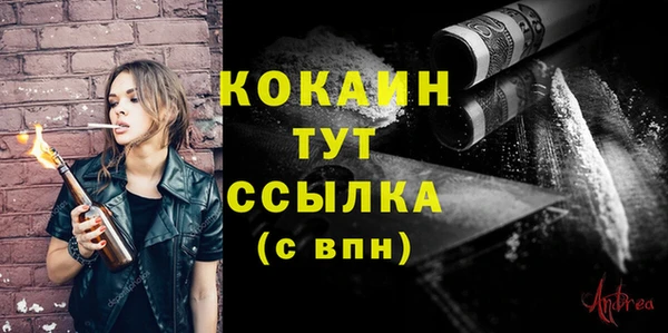 шишки Арсеньев