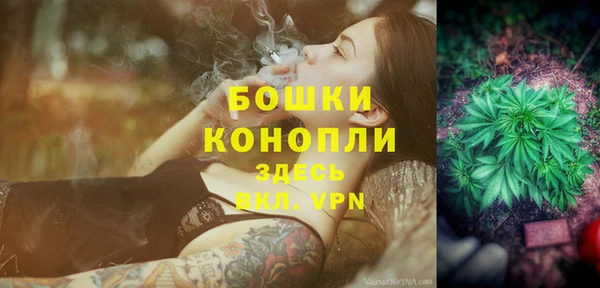 шишки Арсеньев